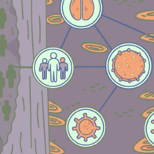 Featured image of post Течения РС